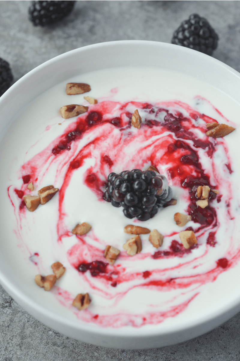 Can You Eat Low Fat Yogurt On Keto Diet - Diet Poin